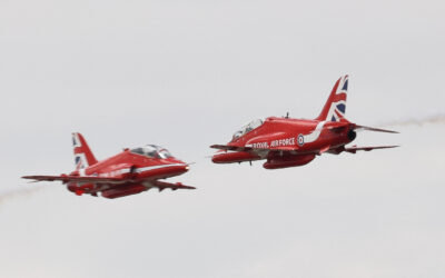 RIAT25-113