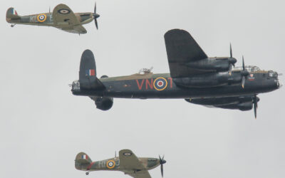 RIAT25-119