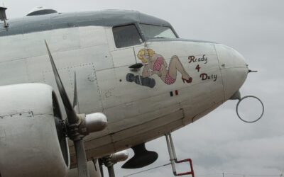 RIAT25-3