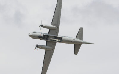 RIAT25-81