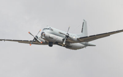 RIAT25-84