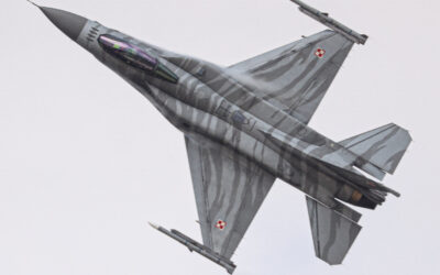 RIAT25-93