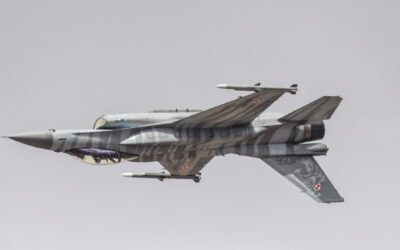 RIAT25-94