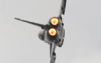 RIAT25-95