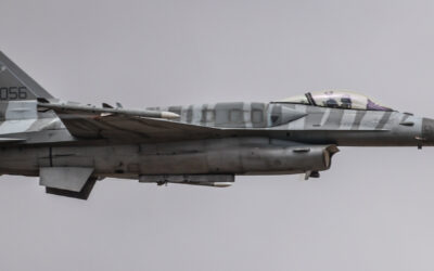 RIAT25-99