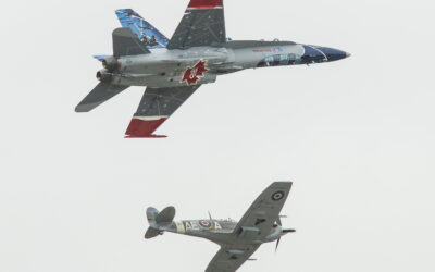 RIAT24-101