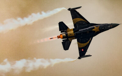 RIAT24-113