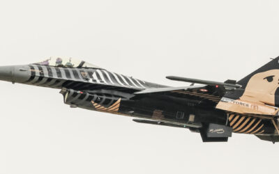 RIAT24-117