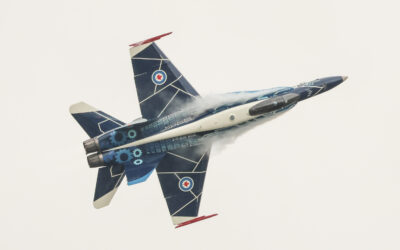 RIAT24-119
