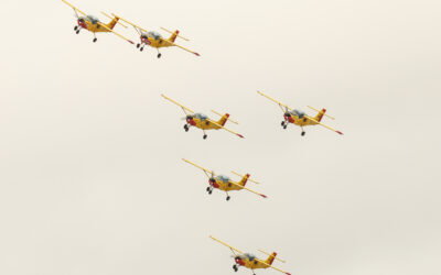 RIAT24-84
