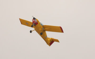 RIAT24-86