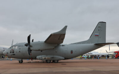 RIAT24-9