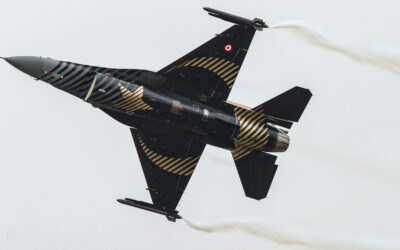 RIAT24-94