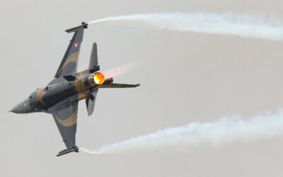 RIAT24-95