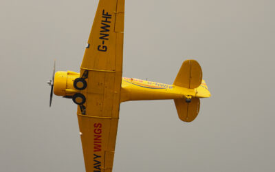 WhiteWaltham25-31