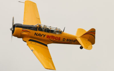 WhiteWaltham25-33