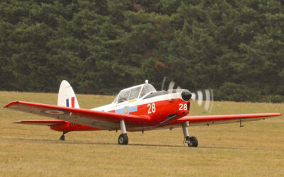 WhiteWaltham25-48